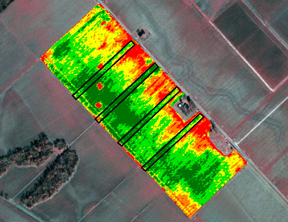 Satellite monitoring for precision farming