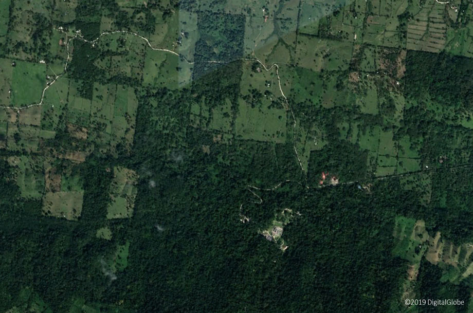 forest monitoring from space