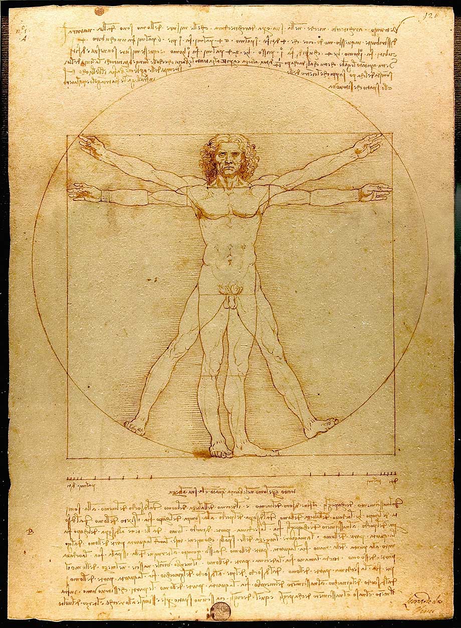 изображение Витрувианского человека - Леонардо да Винчи