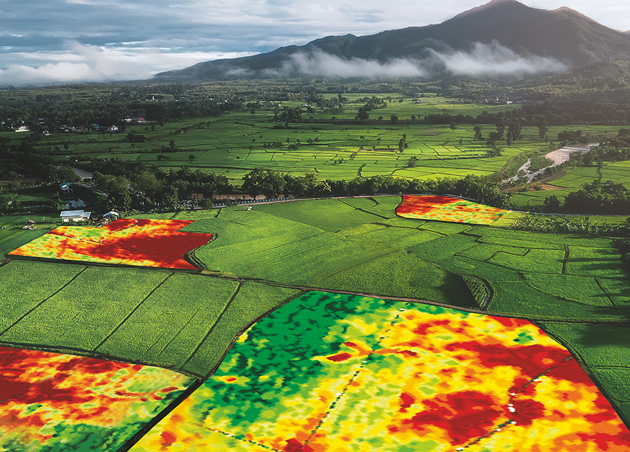satellite data for  precision farming
