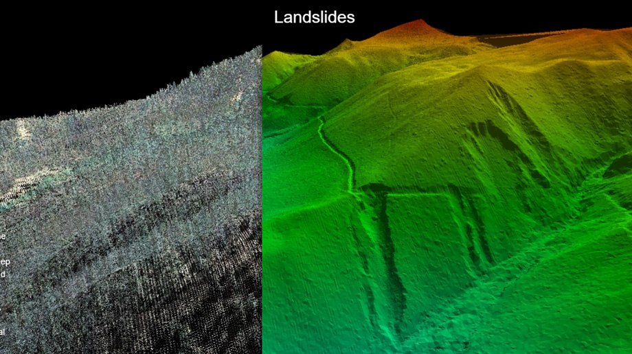 "Raw" image of the LiDAR scanner and 3D digital model obtained using DEM