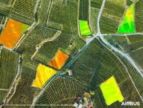 AI in agriculture