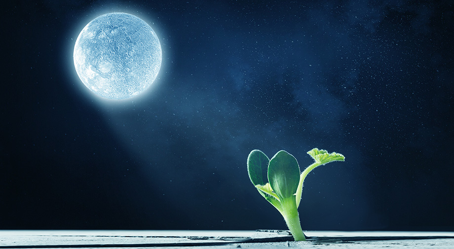 Who Grows Plants in Space, and Why? - Max Polyakov