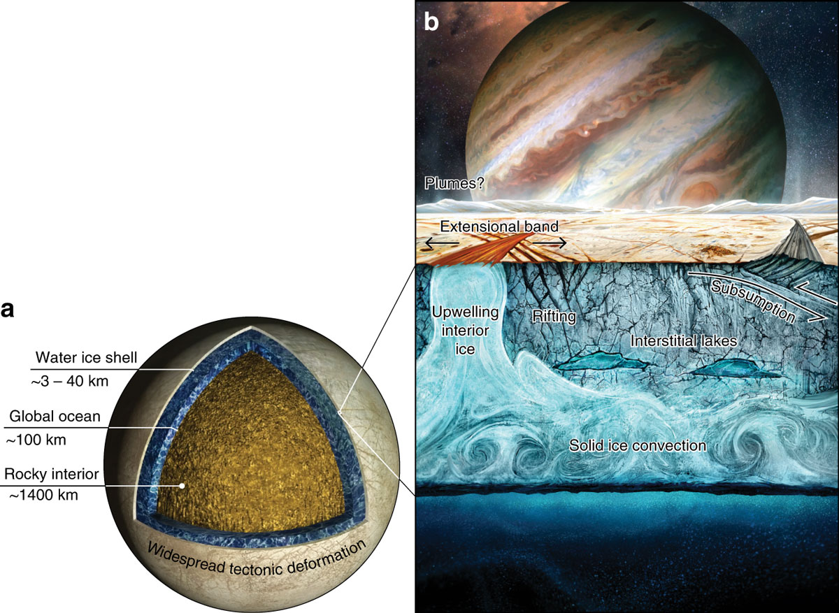 Model of Europa's core layers
