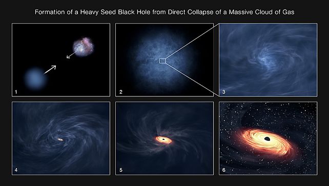 formation of a direct collapse black hole